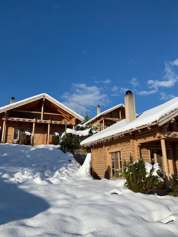 Υάδες Mountain Resort Kato Sinikia Trikalon Exterior foto